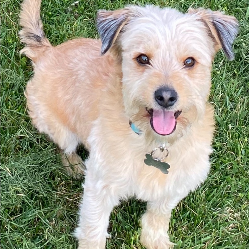 Meet your Posher, Leah